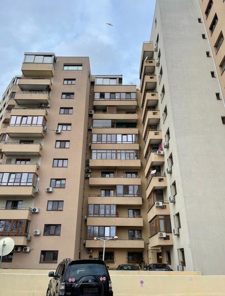 Cutitul de Argint, Parcul Tineretului.